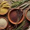 Millet Revolution: Why Millets are the Ultimate Modern Superfood